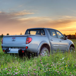 Pickup Truck in a Field